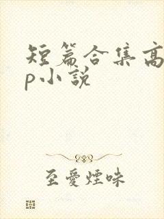 短篇合集高hnp小说