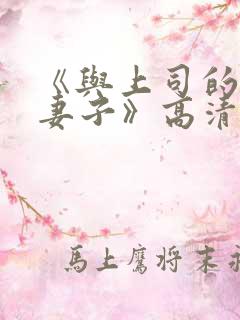 《与上司的出轨妻子》高清