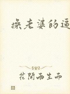 操老婆的逼小说