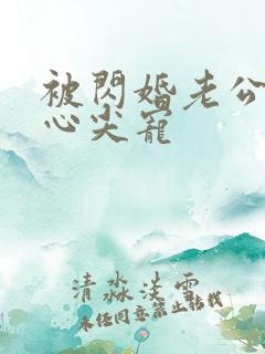 被闪婚老公捧在心尖宠