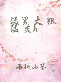 猛男 大 粗 猛 爽h