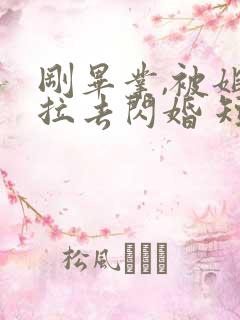 刚毕业,被姐姐拉去闪婚 短剧