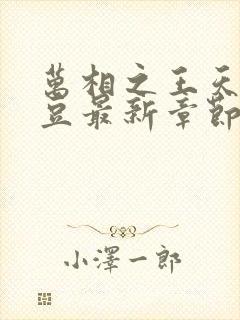 万相之王天蚕土豆最新章节无弹窗