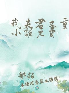 我夫君又重生了小说免费