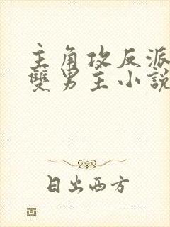 主角攻反派受的双男主小说