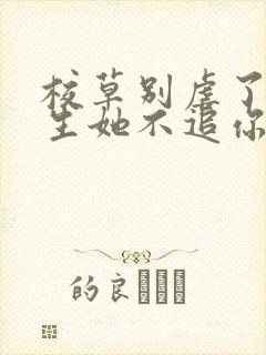 校草别虐了,重生她不追你了在线