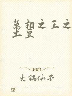 万相之王之天蚕土豆