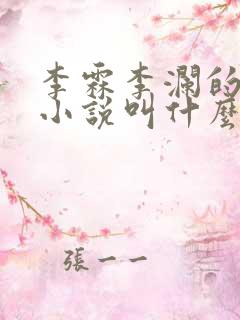 李霖李澜的官场小说叫什么