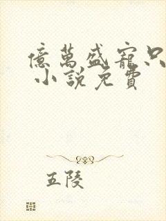 亿万盛宠只为你 小说免费