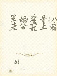军婚蜜爱:八零老公宠上瘾
