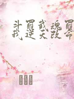 斗罗武魂罗三炮我逆天改命