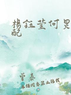 杨钰莹何炅天仙配