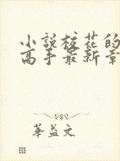 小说校花的贴身高手最新章节阅续