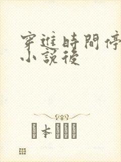 穿进时间停止的小说后