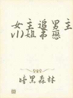 女主追男主(1v1)姐弟恋