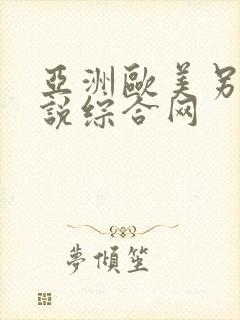 亚洲欧美另类小说综合网