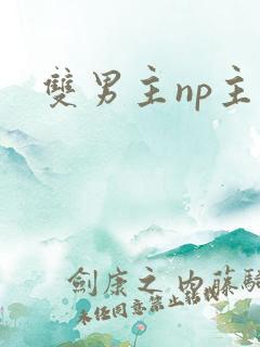 双男主np主攻