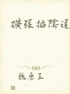 扩张插阴道小说