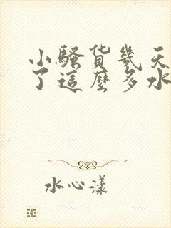 小骚货几天没弄了这么多水 插死你