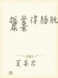 总觉得膀胱里有尿意