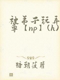 被弟子玩弄的师尊【np】(h)