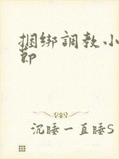 捆绑调教小说章节