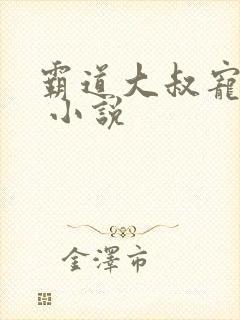 霸道大叔宠甜妻 小说