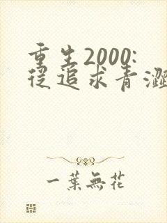 重生2000:从追求青涩校花同桌开始第二部