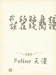 我的贴身校花小说在线阅读全文免费