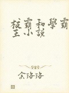 校霸和学霸双男主小说