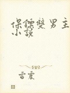 保镖双男主同人小说