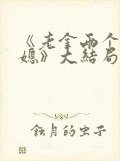 《老金两个好儿媳》大结局