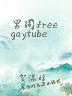 男同free gaytube
