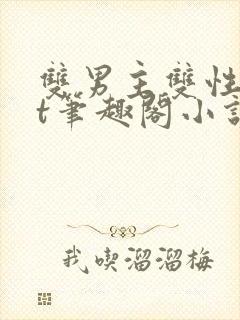 双男主双性txt笔趣阁小说