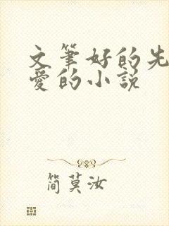 文笔好的先婚后爱的小说