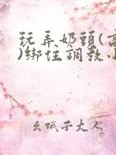 玩弄奶头(高h)绑住调教小说