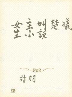 女主叫楚曦的重生小说