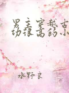 男主穿越古代武功很高的小说