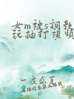 女m被s调教虐玩抽打视频