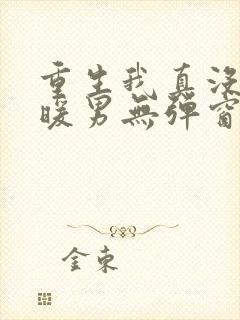 重生我真没想当暖男无弹窗