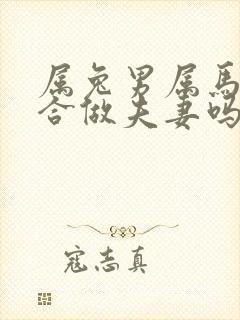 属兔男属马女适合做夫妻吗