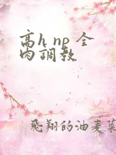 高h np 全肉调教
