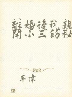 离婚后我亲手撕开小三的秘密短剧免费观看