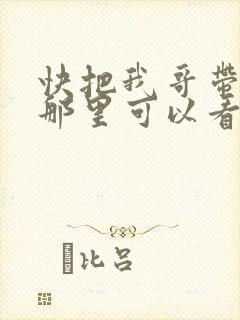 快把我哥带走在那里可以看