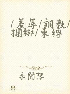 /羞辱/调教/捆绑/束缚