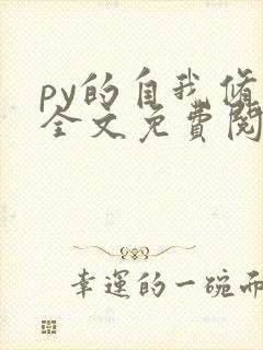 py的自我修养全文免费阅读笔趣阁