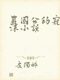 严国公的宠妾沈沫小说