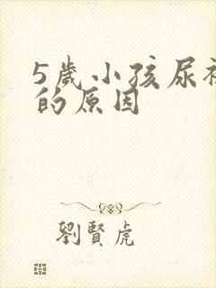 5岁小孩尿裤子的原因