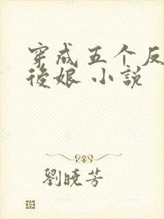 穿成五个反派的后娘 小说