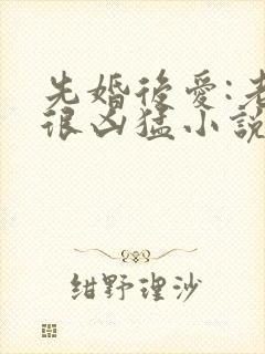 先婚后爱:老公很凶猛小说全文免费